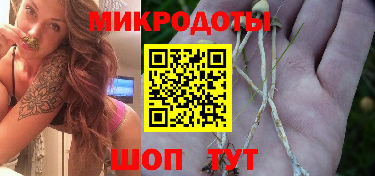 Галлюциногенные грибы MAGIC MUSHROOMS Пушкино